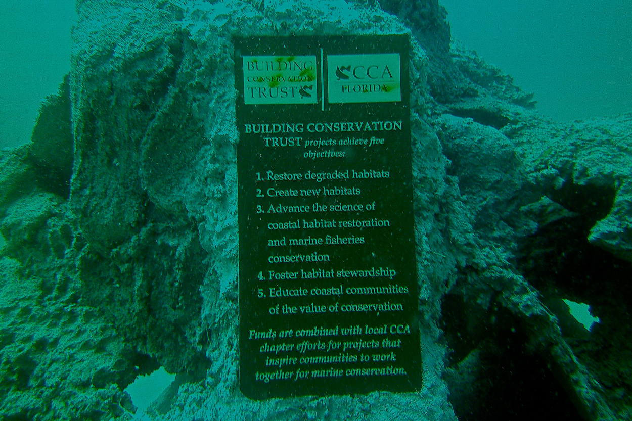 Undewater Reef Cells reefs