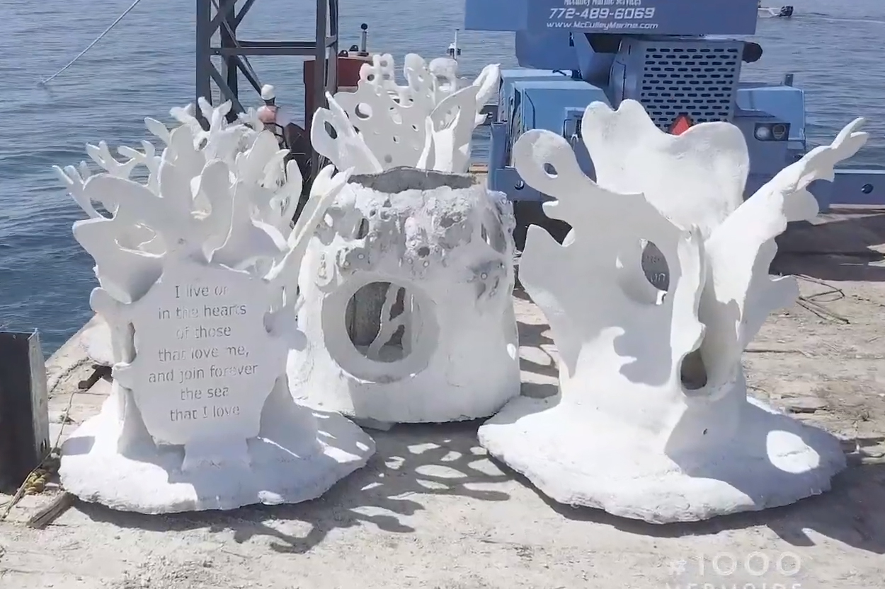 1000 Mermaids Project Deployment