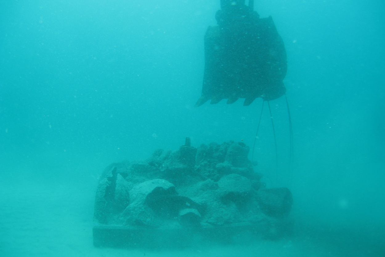 First Reef Cells reef deployment