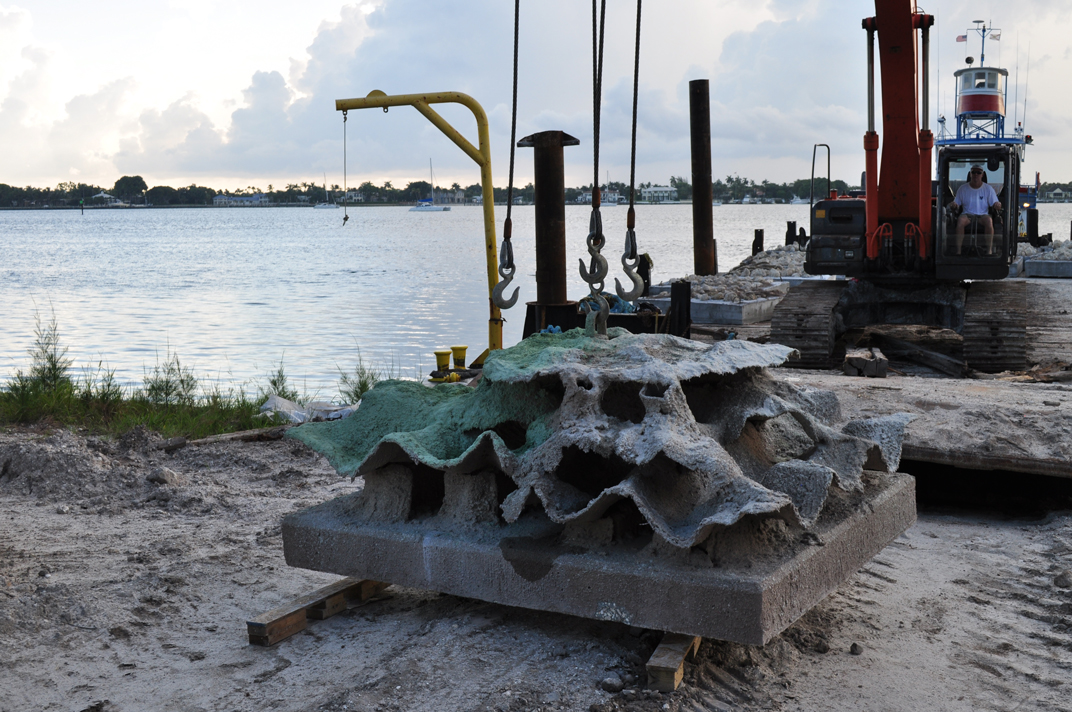 First Reef Cells reef deployment