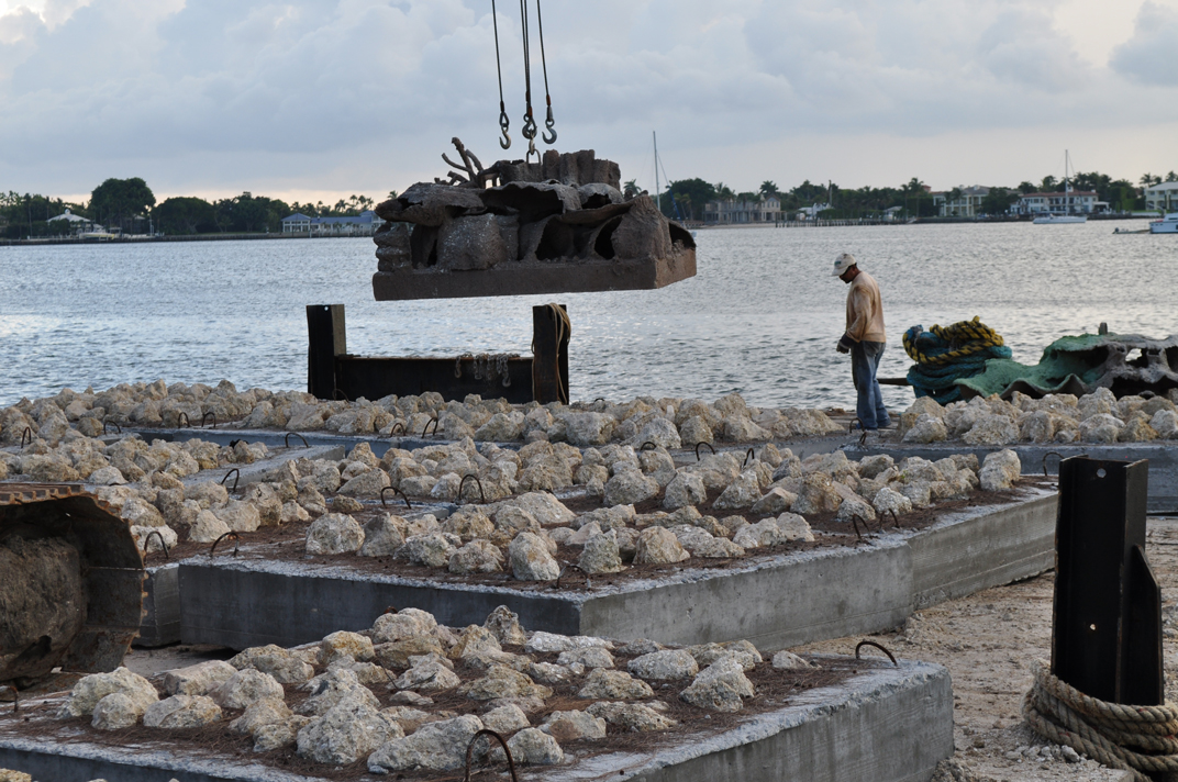 First Reef Cells reef deployment