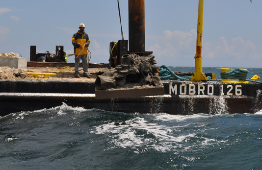 First Reef Cells reef deployment