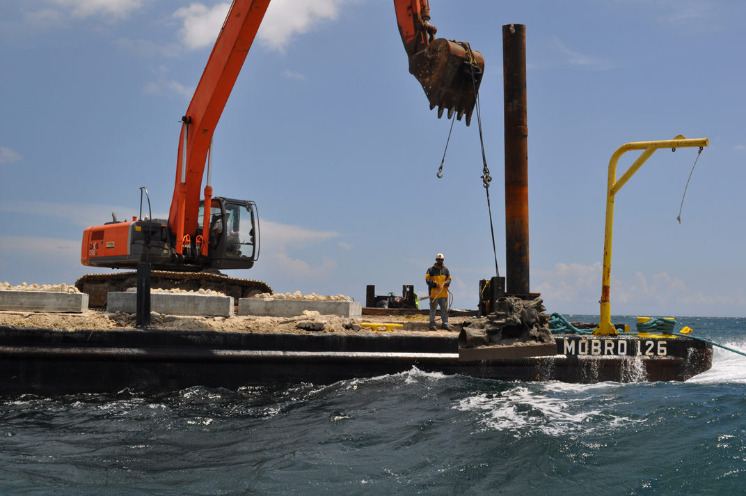 First Reef Cells reef deployment