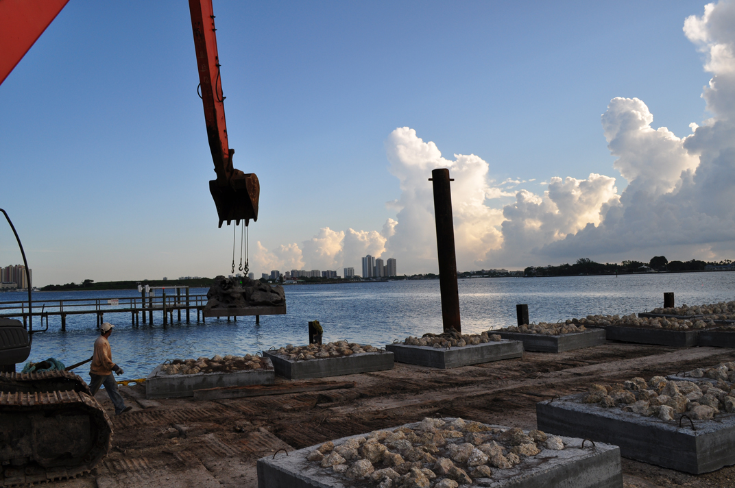 First Reef Cells reef deployment