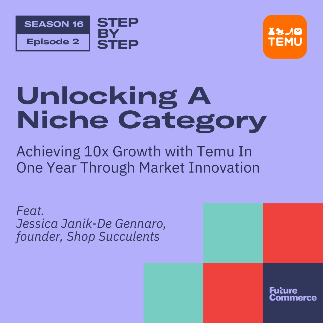 [STEP BY STEP] Unlocking A Niche Category: Achieving 10x Growth In One Year with Temu Through Market Innovation
