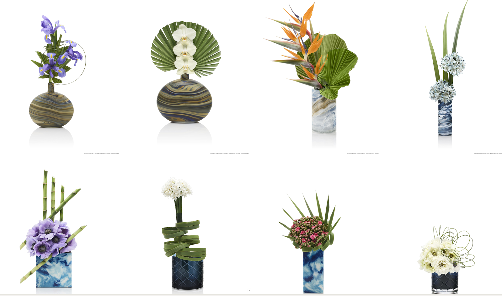 Immagine che contiene vaso da fiori, vaso, pianta da appartamento, Disegno florealeIl contenuto generato dall'IA potrebbe non essere corretto.