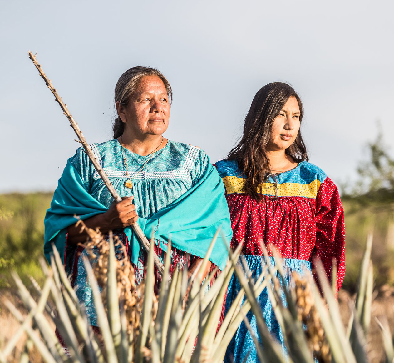 Apache land project image