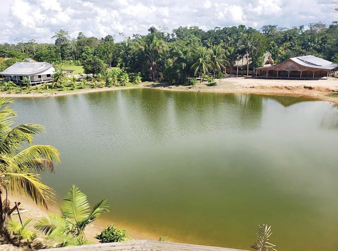 Yawanawa Reforestation Project image