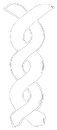 dna spiral
