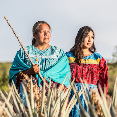 Apache Community Twila