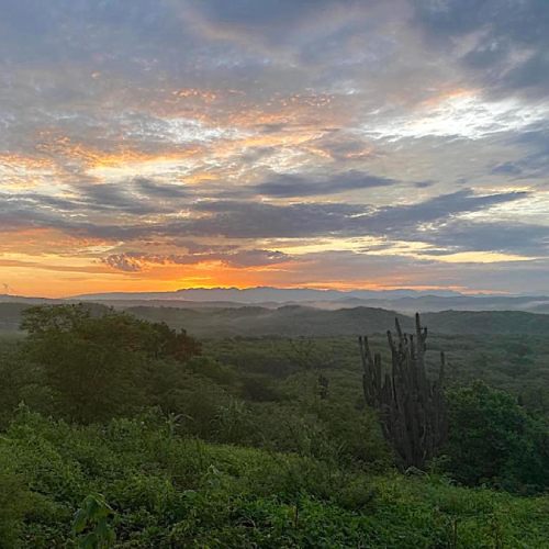 Huya Ania at sunset with the Sierra Madre Ocidental in the distance. Photo: The Boa Foundation