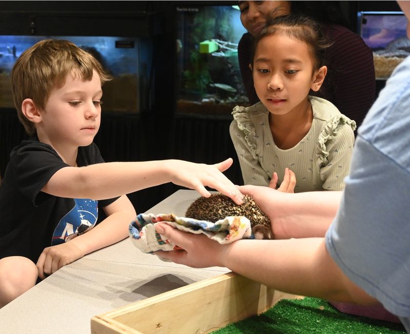 Children's Science Center – Explore. Create. Inspire.