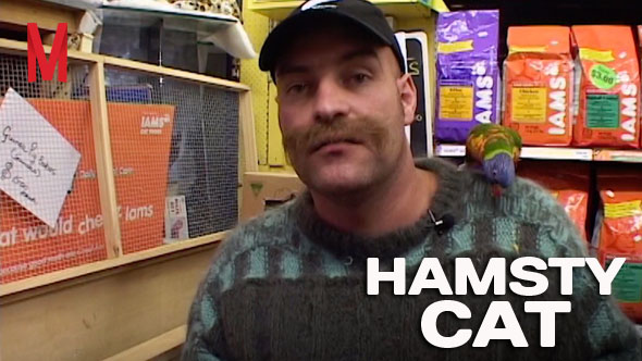 Hamsterman Cat