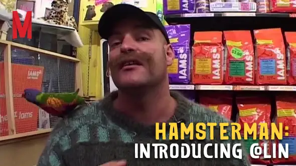 Hamsterman: Introducing Colin