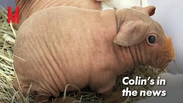 Colin's in the news