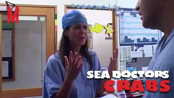Sea Doctors: We've Got Crabs