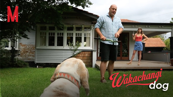 Wakachangi Dog