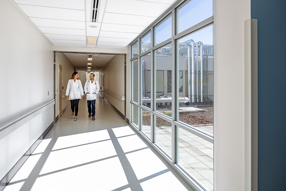 Adventist Health UVMC Ukiah Valley ED Expansion & ICU Addition, Ukiah, CA: Healthcare renovation, tenant improvement and new construction by Herrero Builders in an occupied environment, with Lionakis. Interior view of a corridor with floor-to-ceiling windows overlooking rooftop equipment.