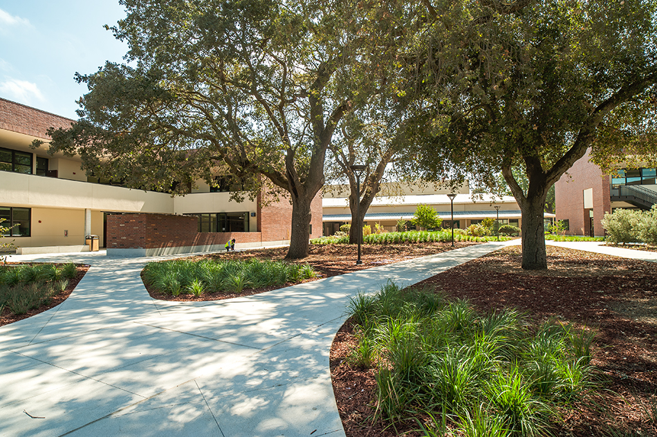 Sacred Heart Schools Atherton Lower & Middle School, Atherton, CA: Education new construction by Herrero Builders on a LEED Gold net zero energy campus, with WRNS Studio. Exterior view of a landscaped path winding between oak trees toward the brick school buildings.