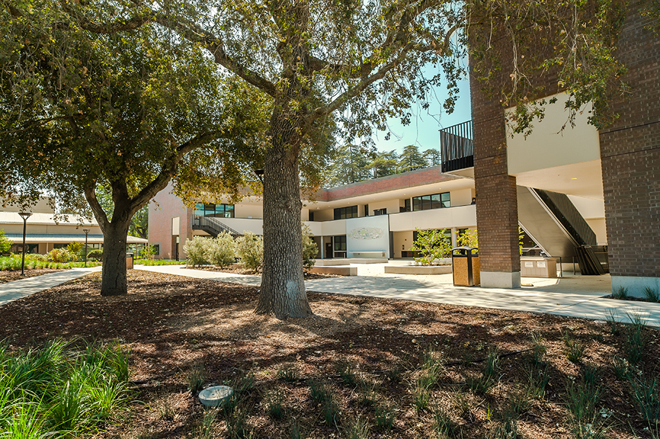 Sacred Heart Schools Atherton Lower & Middle School, Atherton, CA: Education new construction by Herrero Builders on a LEED Gold net zero energy campus, with WRNS Studio. Exterior view of a covered breezeway beneath oak trees with a stair and brick piers.