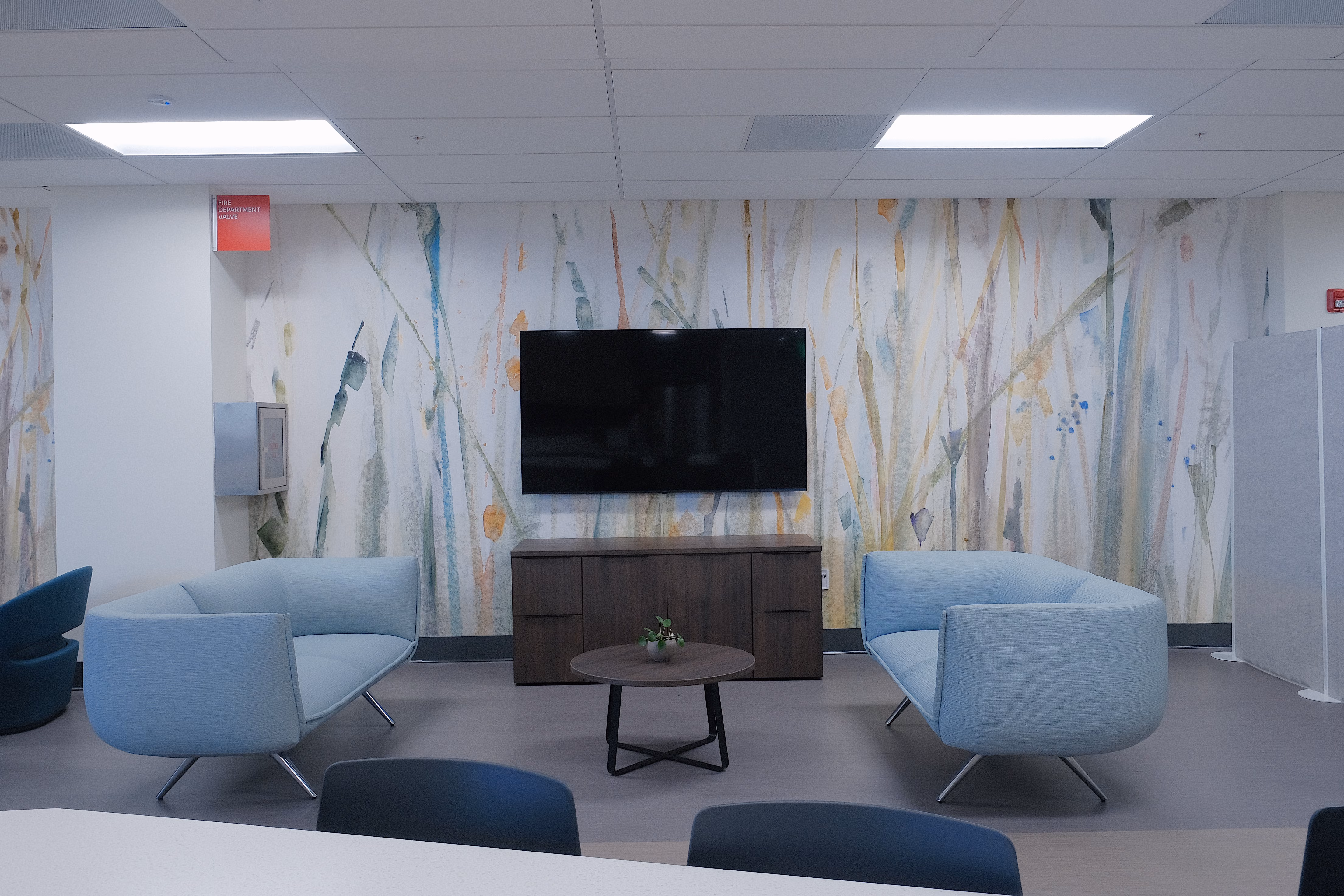 Sutter Health ABSMC Graduate Medical Education (GME), Oakland, Berkeley, CA: Healthcare renovation by Herrero Builders in an occupied hospital, with HOK. Interior view of a lounge with light blue chairs, a wall-mounted television and a botanical mural.