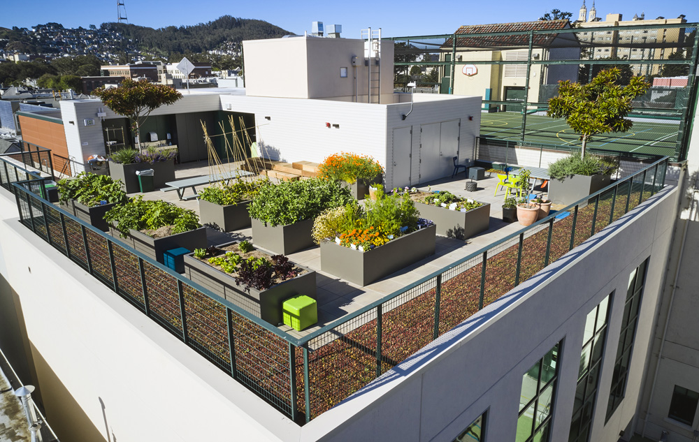 San Francisco Day School School Addition and Staff Housing, San Francisco, CA: Education new construction by Herrero Builders under Integrated Project Delivery, with Studio Bondy. Aerial view of a rooftop garden with planter boxes of vegetables and low trees behind a railing.