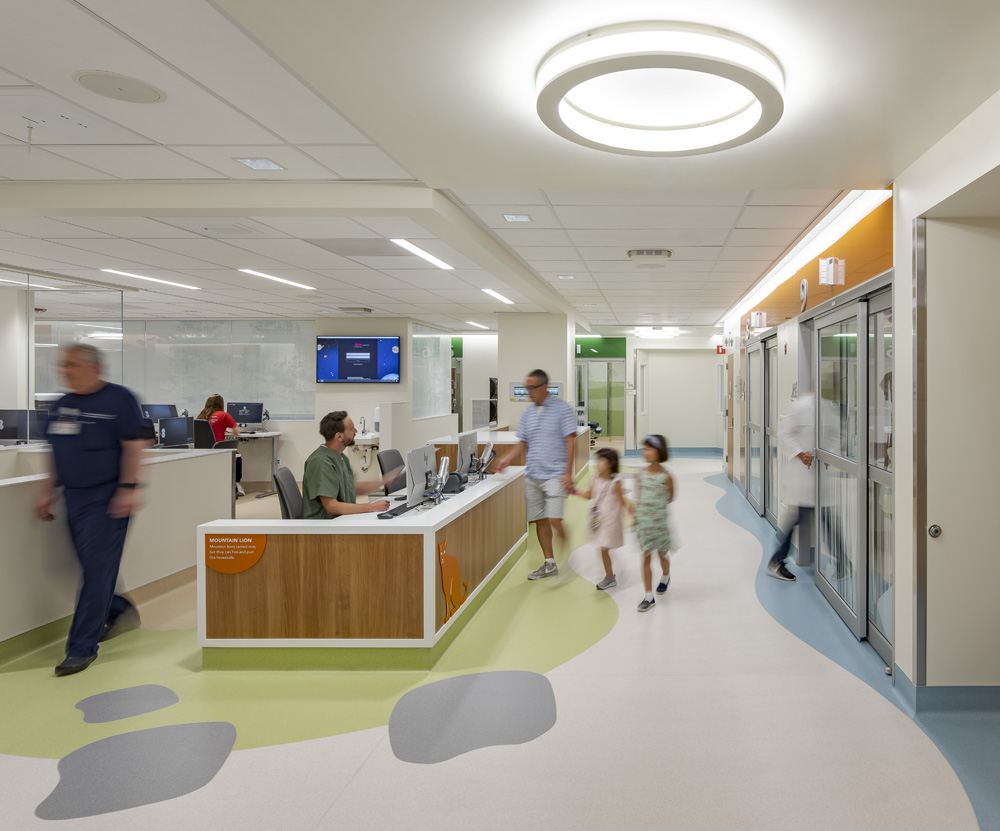 Stanford Health Care Stanford Health Pediatric Emergency Department, Palo Alto, CA: Healthcare renovation by Herrero Builders in an occupied hospital, with Ratcliff. Interior view of a corridor with a nurses' station, a round ceiling light and staff and families walking.