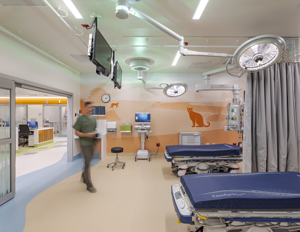 Stanford Health Care Stanford Health Pediatric Emergency Department, Palo Alto, CA: Healthcare renovation by Herrero Builders in an occupied hospital, with Ratcliff. Interior view of a treatment bay with a surgical light, monitors, gurneys and an orange wall graphic of animals.