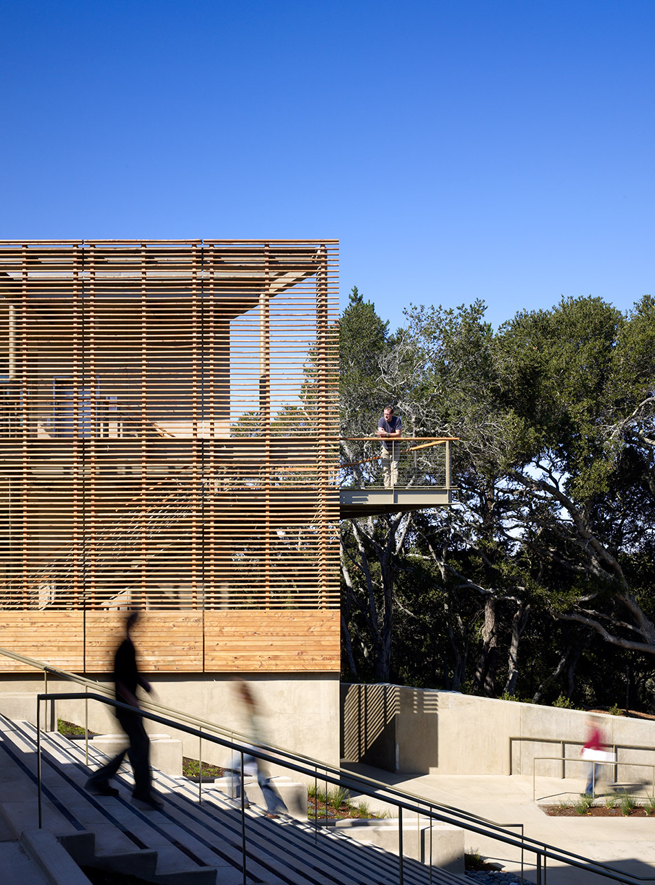 Nueva School Hillside Learning Complex & Historic Crocker Mansion, Hillsborough, CA: Education and Historic new construction and renovation by Herrero Builders earning LEED Gold, with Leddy Maytum Stacy Architects. Exterior view of a stair and slatted timber screen among trees.