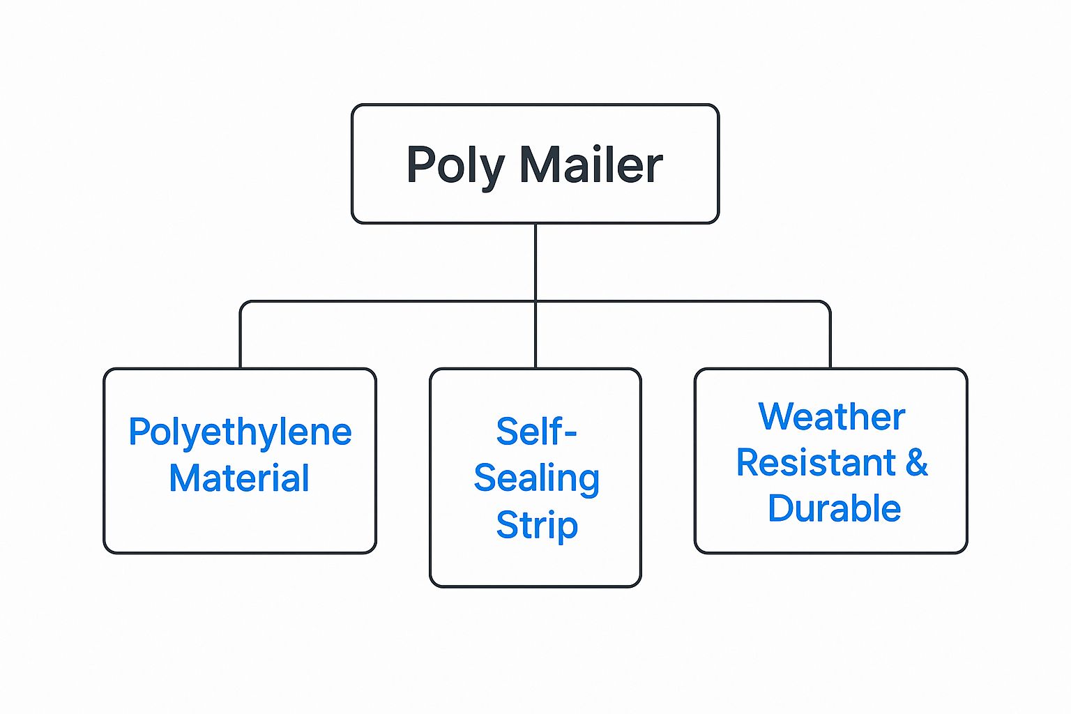 Infographic about what is a poly mailer