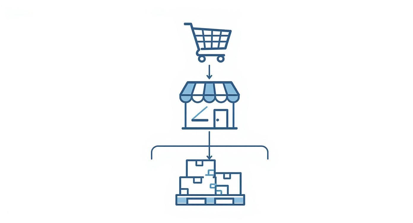 Infographic about supply chain management in ecommerce