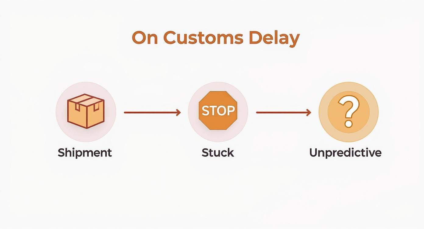 Infographic about customs clearance delay
