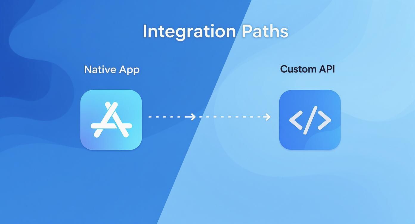 Infographic about integration supply chain