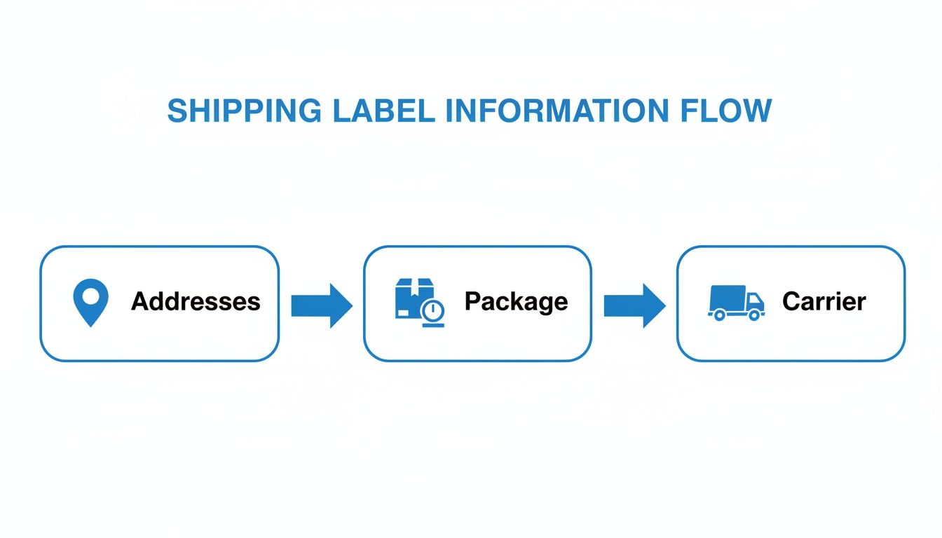 A flowchart titled 'Shipping Label Information Flow' showing a process from Addresses, to Package, and then to Carrier.