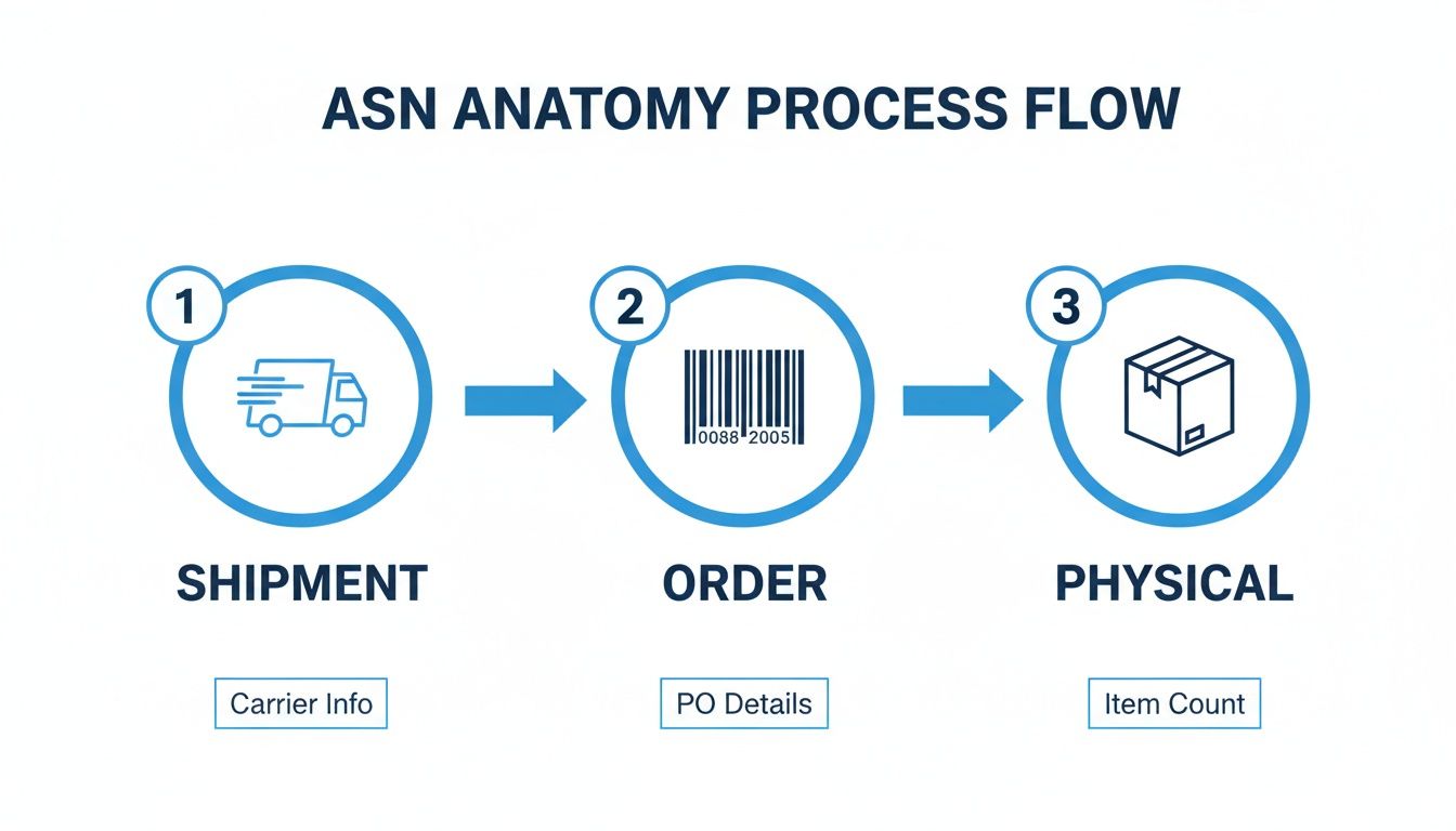 Diagram of the ASN (Advance Shipping Notice) anatomy process flow, detailing shipment, order, and physical steps.