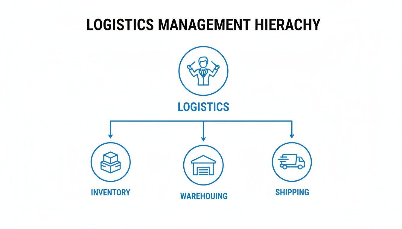 A logistics management hierarchy diagram illustrating logistics, inventory, warehousing, and shipping.