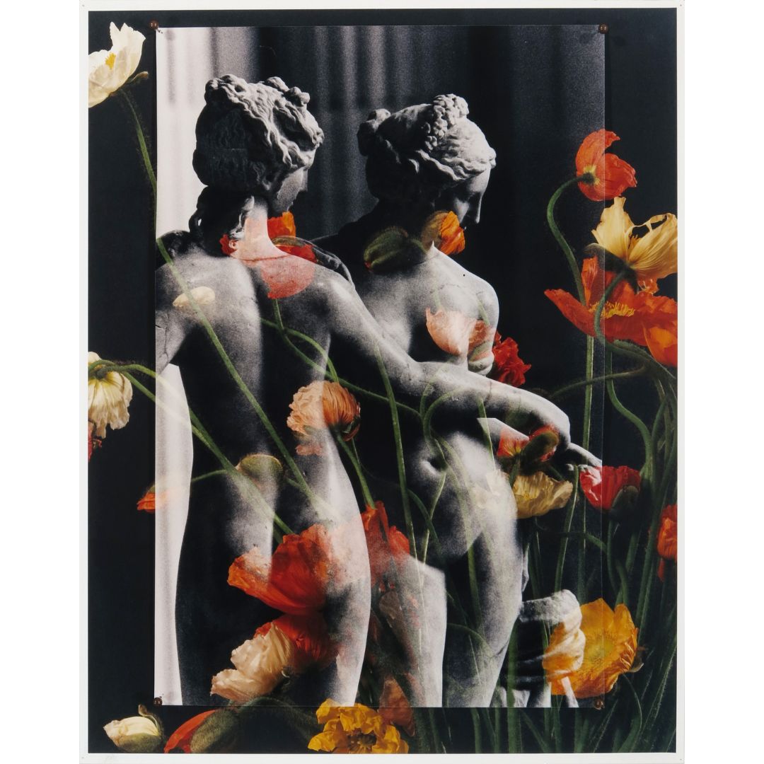 L to R: 1: “Naiads and Poppies,” 2002, 20 x 12 in. Gelatin silver print | 2: Mary Delany. “Punica Granatum,” 1778. Paper collage with body color, watercolor, ink. Collection of the British Museum | 3: “Lovers within Venus,” 1990, 14 1/2 x 20 in. Gelatin silver print | 4: “The Choreography of Saskia,” 2004, 23 3/4 x 19 3/4 in. Chromogenic print | 5: Spread from “Mrs. Delany: her life and her flowers,” 1986 | 6: “Saskia Hiding in a Bouquet,” c. 2002-04, 23 3/4 x 19 3/4 in. Chromogenic print | 7: Excerpt from “A Certain Presence.” “Paper Tilings by George Woodman,” 1982 | 8: “Paper Tilings,” 1981. Installation view, Wright State University, Dayton, OH, 1981 | 9: “Untitled,” c. 1980-84, 44 x 32 in. Oil on canvas | 10: Exhibition pamphlet, “Mrs. Delany’s Flower Collages: From the British Museum,” 1986 | 11-12: George Woodman. “Gulliver in the Garden.” The Village Voice, 4 November 1986 | 13: “The Vivienne Panels III,” c. 1993, 41 1/4 x 79 3/4 in. Gelatin silver print | 14: “Mrs. Delany: her life and her flowers,” 1986. All works by George Woodman unless indicated otherwise © Woodman Family Foundation / Artists Rights Society (ARS), New York