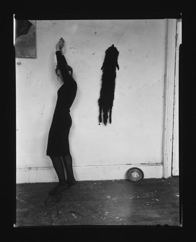 L to R: “Untitled,” c. 1979-80. 5 x 3 15/16 in. | Francesca Woodman's vintage fox fur from WFF Archives | “Untitled,” c. 1979-80. 7 1/2 x 4 3/4 in | “Untitled,” 1979, 5 13/16 x 5 13/16 in | “Untitled,” 1978, 34 1/2 x 40 1/2 in | “Untitled,” 1976. 5 3/4 x 5 3/4 in | “Untitled,” 5 7/8 x 5 7/8 in. All gelatin silver prints. All works by Francesca Woodman © Woodman Family Foundation / Artists Rights Society (ARS), New York