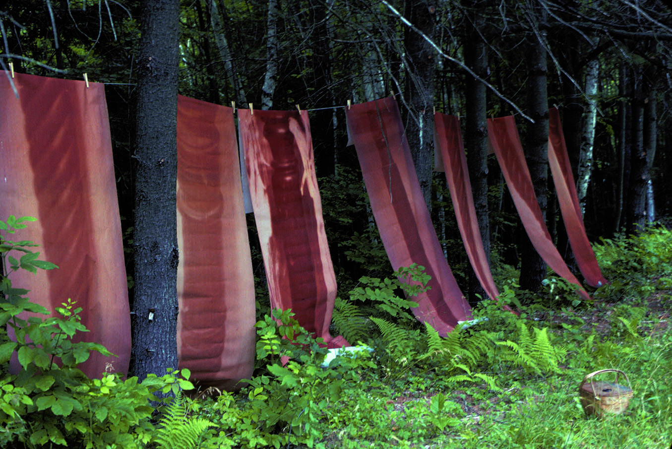 L to R: 1 & 3: Installation view, MacDowell Colony, Peterborough, New Hampshire, 1980 | "Study for Tree Piece,” c. 1980. 14 1/2 x 15 1/4 in. Diazotype / 4-5: “Untitled,” 1980. 2 13/16 x 9 15/16 in. Gelatin silver print. Letter on reverse of print | “Untitled,” 1980. 11 x 14 in. Gelatin silver print. All works by Francesca Woodman © Woodman Family Foundation / Artists Rights Society (ARS), New York