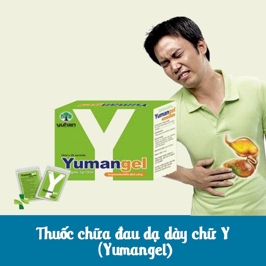 Thuốc chữa đau dạ dày chữ Y