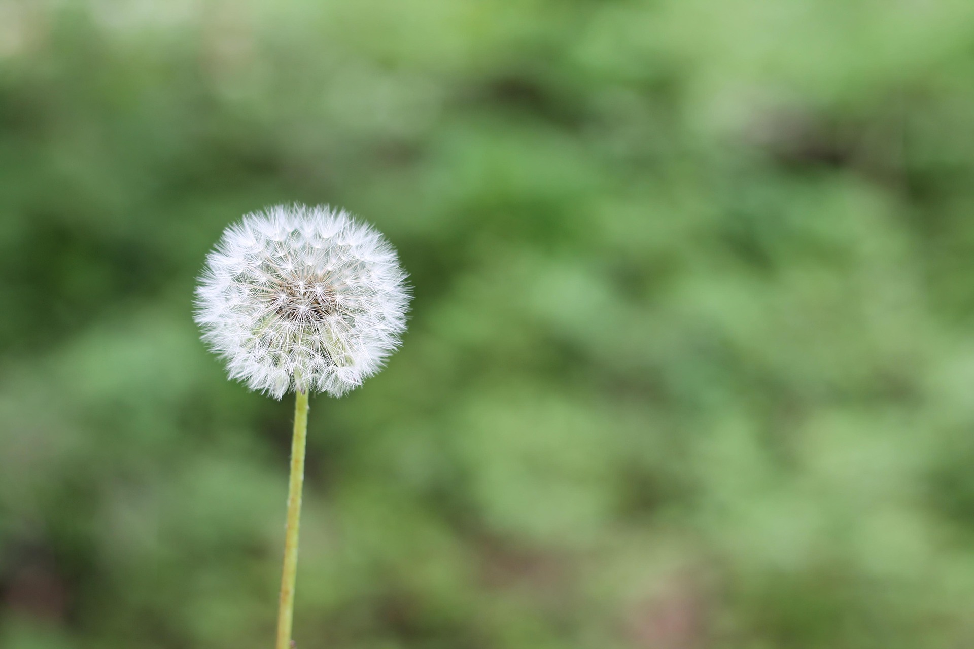 Pollenallergie Tipps und Tricks