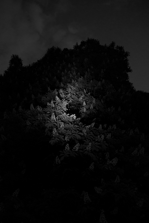 © Bénédicte Blondeau (Berlin, Germany) | Refuge