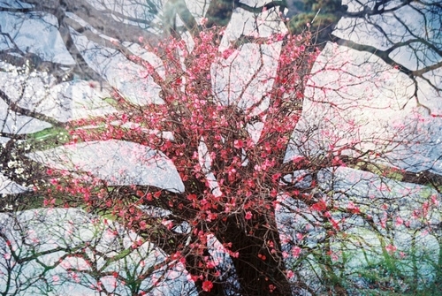 © Gonzalo Rostán (Uruguay) @gonchirostan | Filmswap