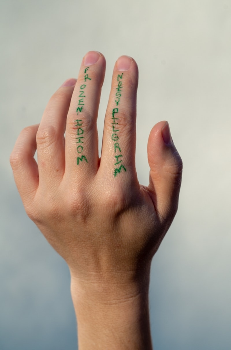 © John Kinney - Dandelion Dreams