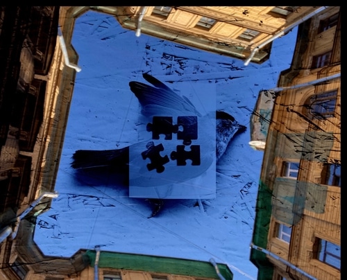 © Diana Nigmatova | Selfie’s