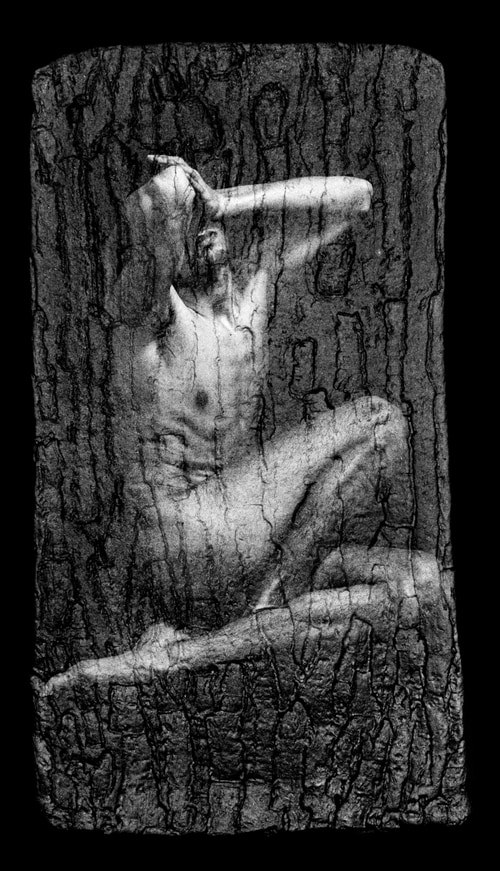 © John Kolikis | Endogenesis