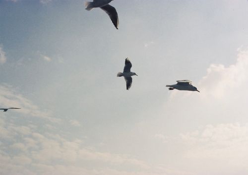 © Su Zeynep Cizem | Cold Winds Blow in Istanbul