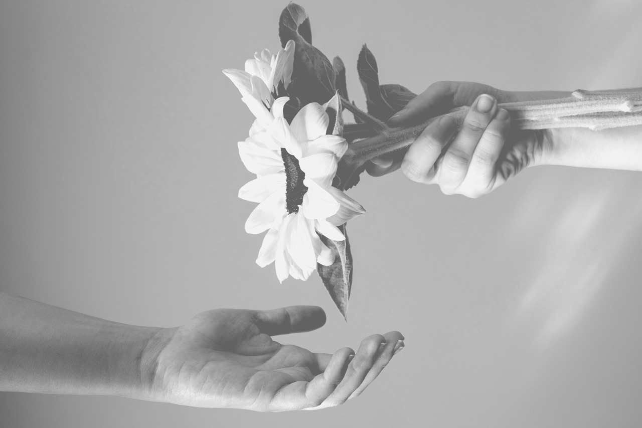© Madalena Georgatou | Jasmine