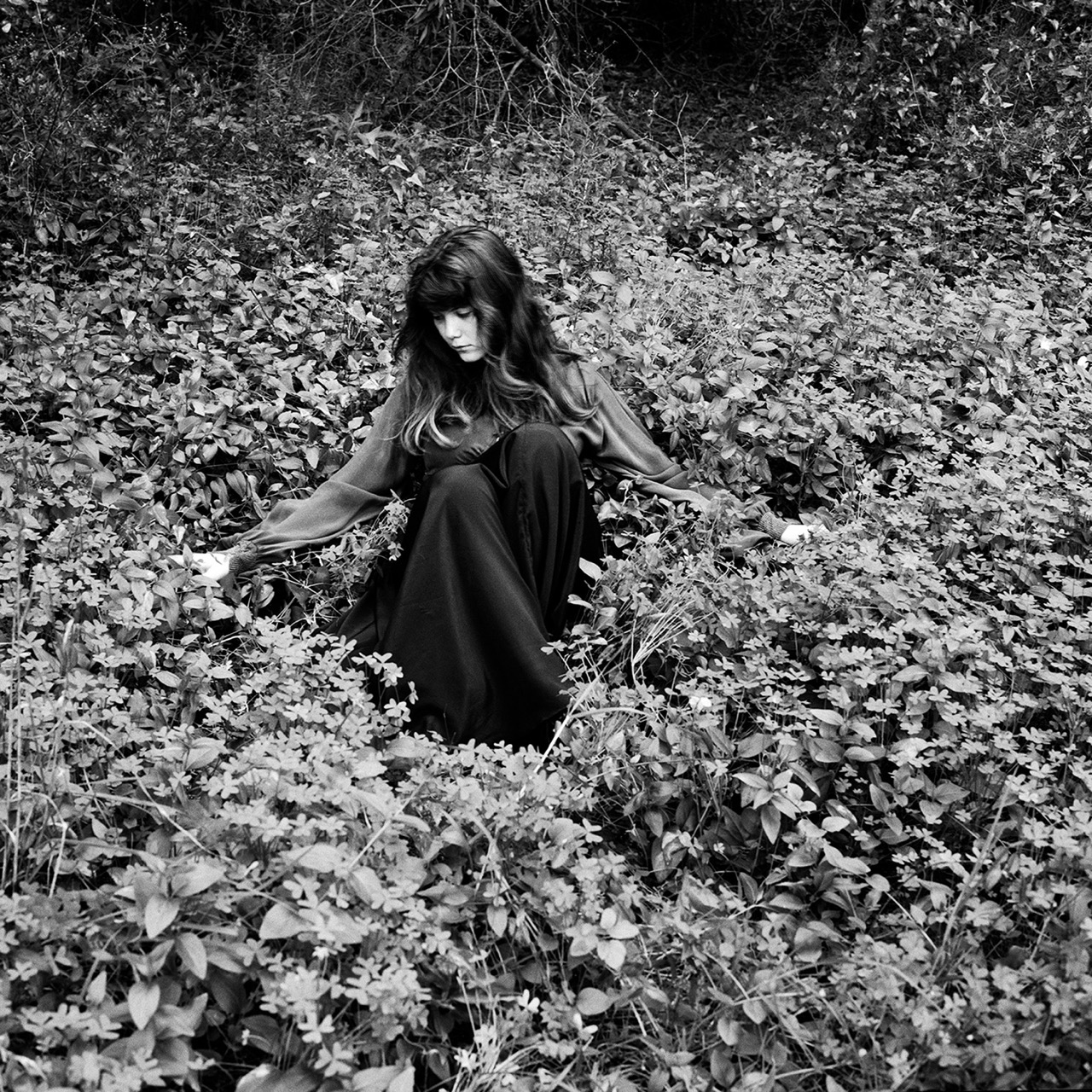 © Maksym Romenskyi | Enchanted Forest