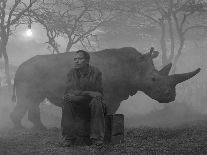 THE DAY MAY BREAK-Nick Brandt